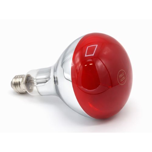 Losse Infrarood Warmtelamp 275W voor Luxyor RedLight 120